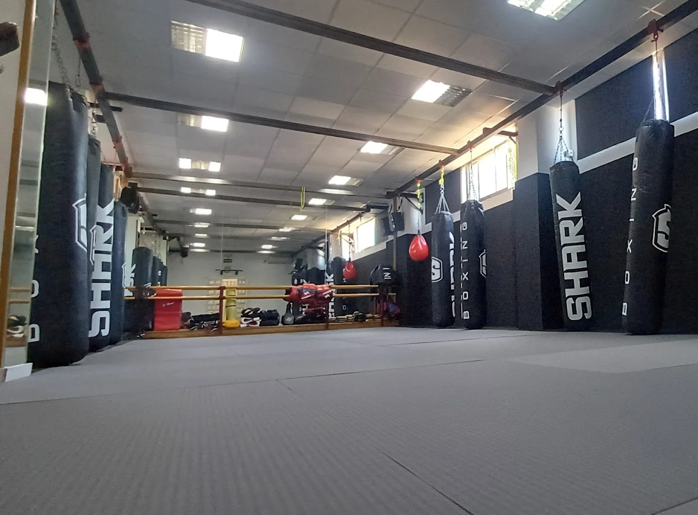 Tatami de Lotus Vallecas dentro del gimnasio Shogun Fighters